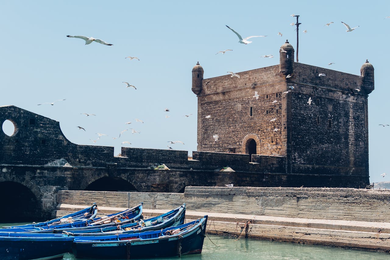 A scenic view of the Essaouira citadel with seagulls in flight and boats docked at the harbor.
